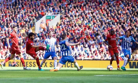 Liverpool 4-0 Brighton – Highlights (Video)